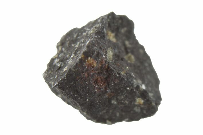 Murchison Chondrite Meteorite ( g) Fragment - Australia #266102